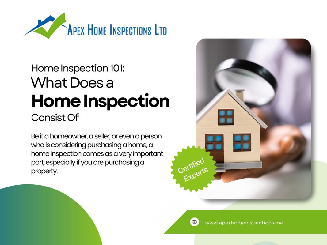 Home Inspection 101: What Does a Home Inspection Consist Of